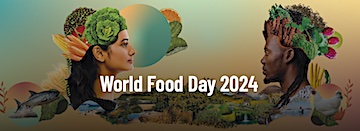 Pope Francis’s Message for World Food Day