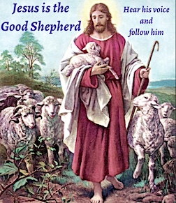 Pope Leo’s Regina Caeli – 4th Sunday of Easter