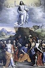 Pope Leo’s Regina Caeli – 7th Sunday of Easter